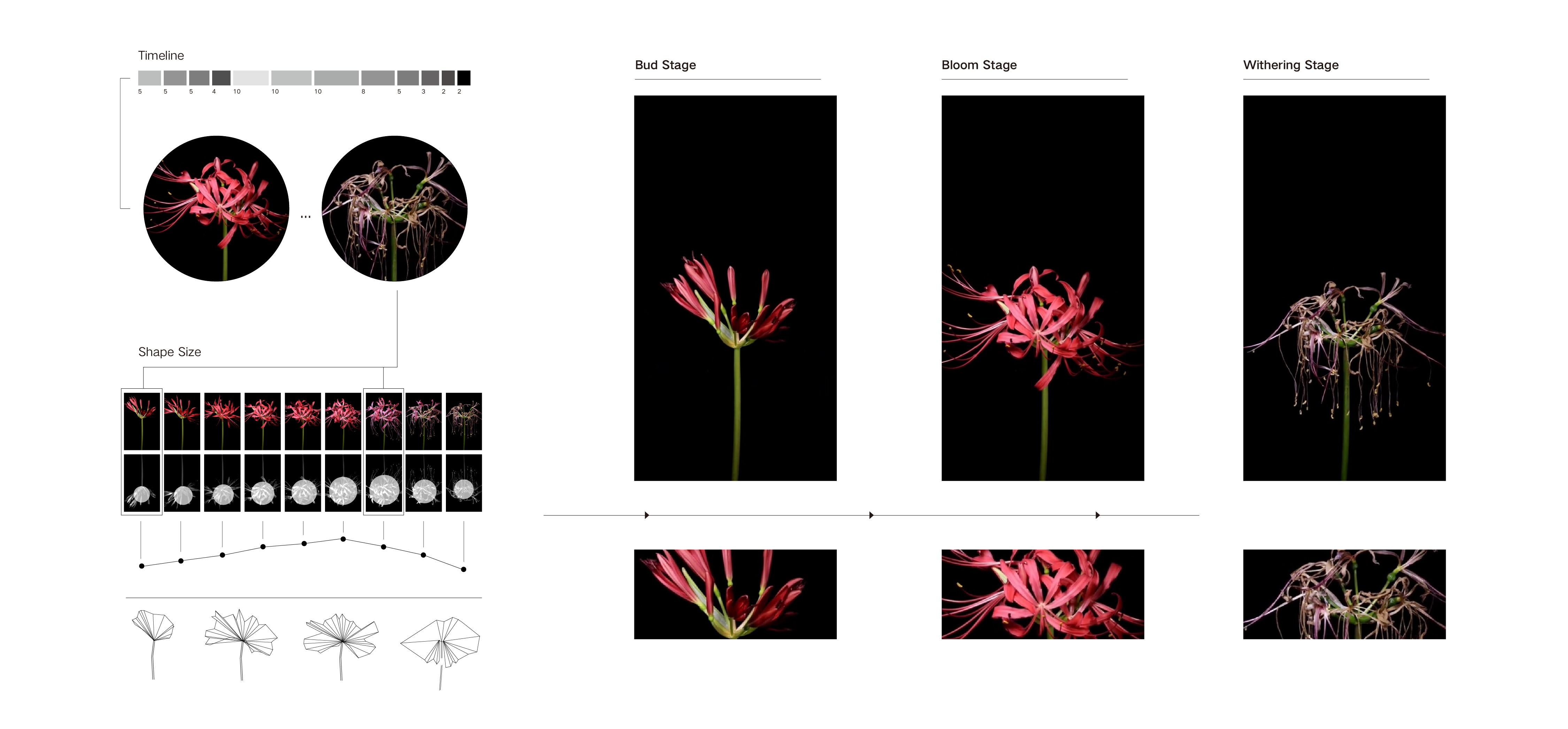 Empathize with Nature, digital moving-image still by Wu Yi, 2023