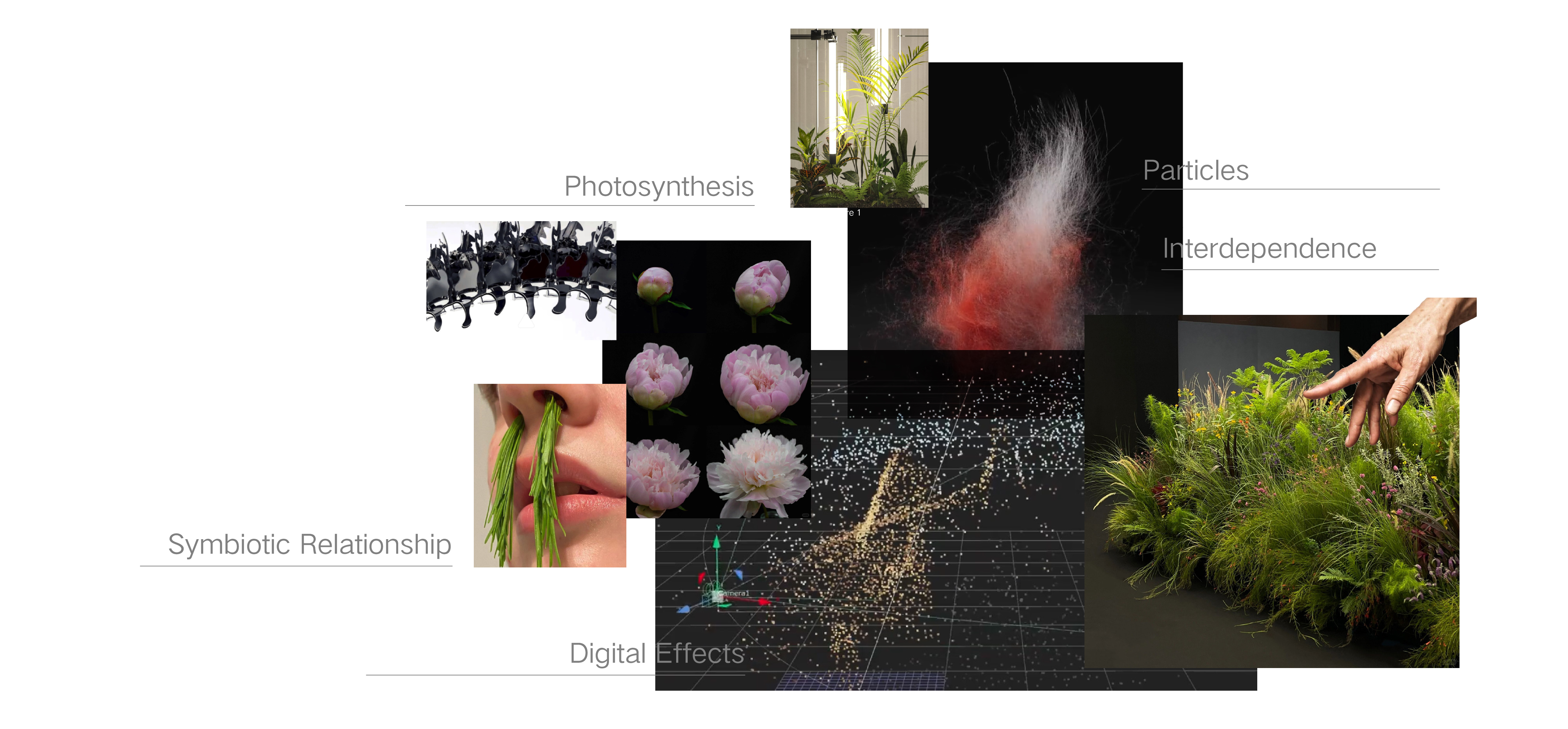 Empathize with Nature, digital moving-image still by Wu Yi, 2023